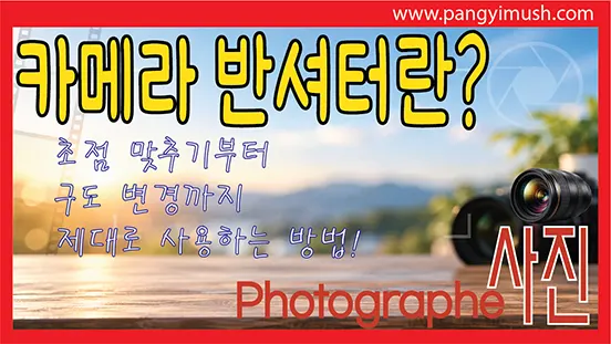 Read more about the article 미러리스 카메라 반셔터란? 초점 맞추기부터 구도 변경까지 제대로 사용하는 방법