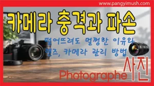 Read more about the article 카메라 충격과 파손 완벽 정리 – 떨어뜨려도 멀쩡한 이유와 렌즈·카메라 관리 방법