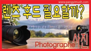 Read more about the article 렌즈 후드 꼭 필요할까? 렌즈 후드의 기능과 모양이 다른 이유 완벽 정리
