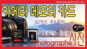 Read more about the article 미러리스 카메라 메모리카드 완전 정리 – SD카드 속도부터 CFexpress가 필요한 이유까지