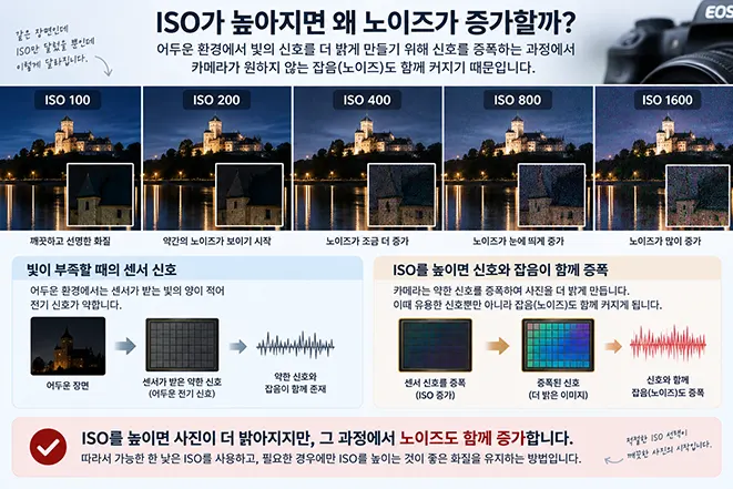 ISO 100부터 ISO 1600까지 감도를 높였을 때 사진의 노이즈가 점차 증가하는 모습을 비교한 이미지
