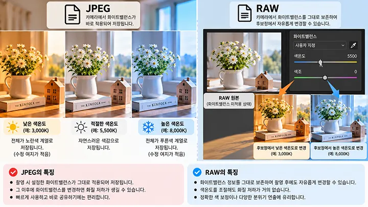 JPEG과 RAW 사진에서 화이트밸런스와 색온도 조정 방식의 차이를 비교한 이미지