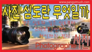 Read more about the article 사진 심도란 무엇일까? 얕은 심도와 깊은 심도부터 스마트폰·단렌즈 차이까지 완벽 정리