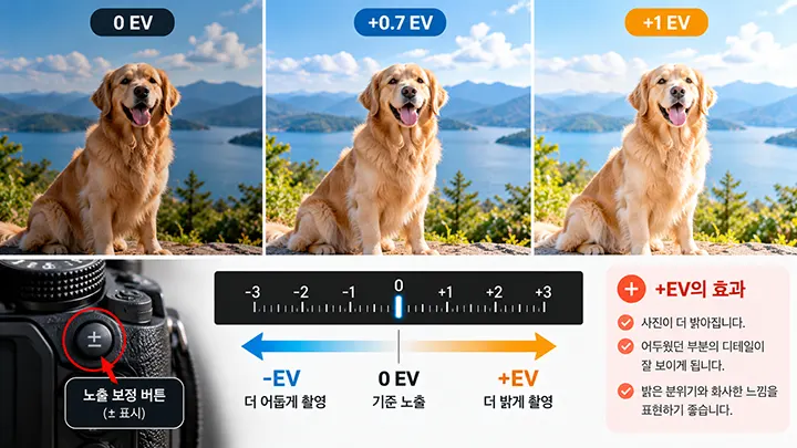 같은 피사체를 0 EV, +0.7 EV, +1 EV로 비교하여 +EV 노출 보정에 따른 사진 밝기 변화를 보여주는 이미지