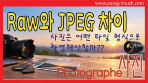 RAW와 JPEG 차이와 사진 촬영 파일 형식 선택을 설명하는 썸네일