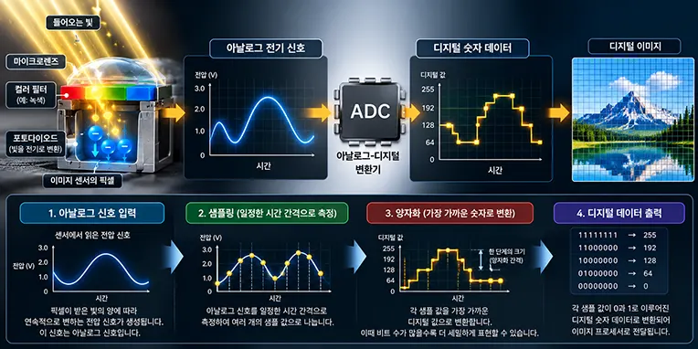 카메라 이미지 센서에서 생성된 아날로그 전기 신호가 ADC를 통해 샘플링과 양자화 과정을 거쳐 디지털 숫자 데이터로 변환되고 사진으로 완성되는 원리를 설명하는 이미지