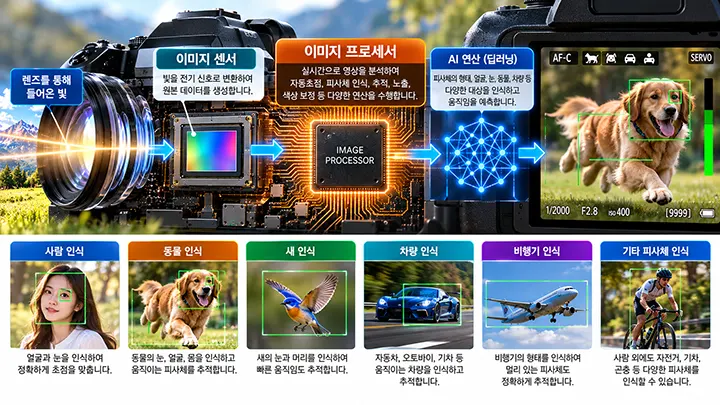 카메라 이미지 프로세서의 AI 자동초점과 피사체 인식 원리를 설명하는 이미지로, 이미지 센서와 프로세서의 데이터 처리 과정 및 사람, 동물, 새, 자동차, 비행기, 자전거 등의 피사체 추적 기능을 보여주는 자료