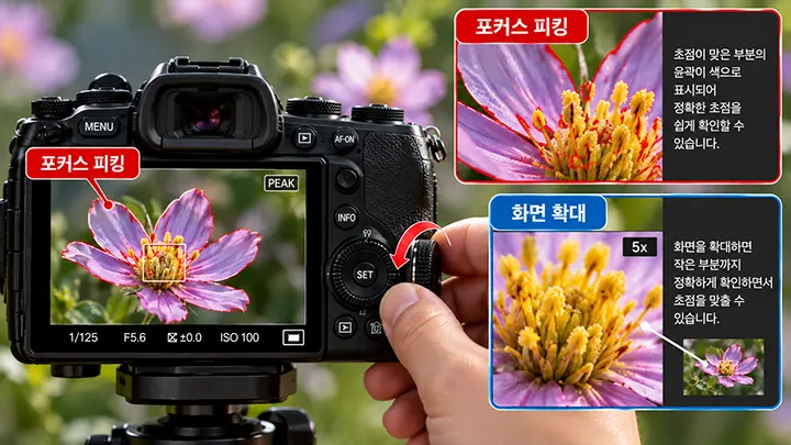 수동초점 MF에서 포커스 피킹으로 초점이 맞은 영역을 확인하고 화면 확대 기능으로 꽃의 세부 초점을 정밀하게 조절하는 모습