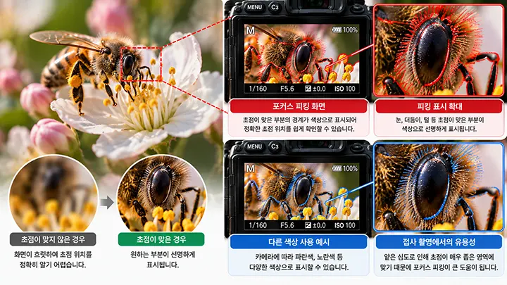 꽃 위의 벌을 접사 촬영하면서 눈과 털 등 초점이 맞은 부분을 포커스 피킹 색상으로 표시한 모습