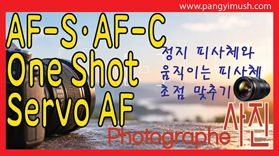 Read more about the article 카메라 초점 맞추는 방법인 AF-S·AF-C·One Shot·Servo AF 차이와 사용법 – 정지 피사체와 움직이는 피사체 초점 맞추기