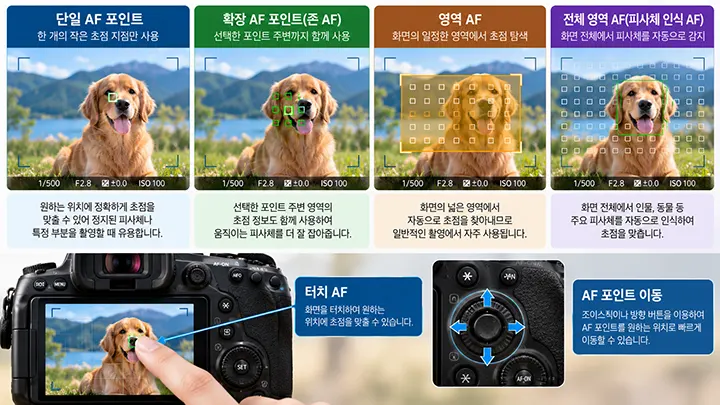 단일 AF 포인트, 확장 AF 포인트, 영역 AF, 전체 영역 AF와 터치 AF 및 AF 포인트 이동 방법을 비교한 이미지