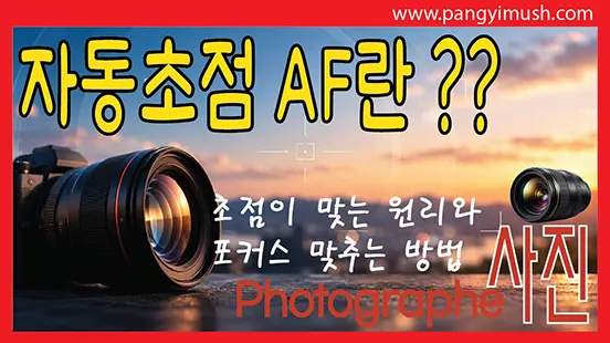 Read more about the article 카메라 자동초점 AF란 무엇인가? 초점이 맞는 원리와 포커스 맞추는 방법