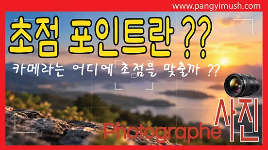 Read more about the article 초점 포인트란 무엇인가? 카메라는 어디에 초점을 맞출까?