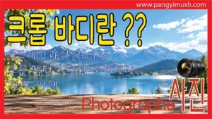 크롭 바디란 무엇인가? 풀프레임 카메라와의 차이, 크롭 팩터 및 환산 초점거리를 설명하는 사진 촬영 기초 가이드 썸네일