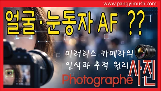 Read more about the article 얼굴·눈동자 AF는 어떻게 사람의 눈을 찾아낼까? – 미러리스 카메라의 인식과 추적 원리