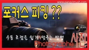 포커스 피킹 기능과 수동초점을 쉽게 맞추는 방법을 소개하는 카메라 촬영 가이드
