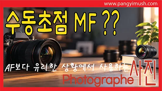 Read more about the article 수동초점 MF는 언제 사용할까? AF보다 유리한 상황과 오토포커스 차이 완벽 정리